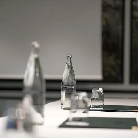 酒店 Aigle Noir - Mgallery Collection 枫丹白露