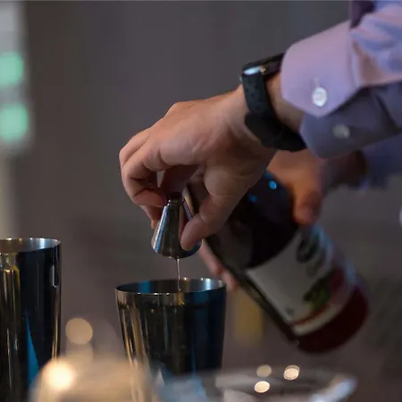 酒店 Aigle Noir - Mgallery Collection 枫丹白露