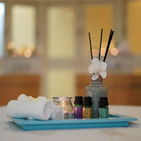 호텔 Aigle Noir - Mgallery Collection 퐁텐블로